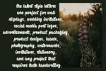 Quality Font