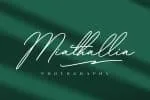 Qualyters Script Font