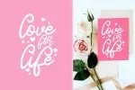 Quenty - Elegant Script Typeface