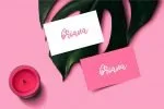 Quenty - Elegant Script Typeface