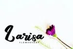 Queny Unique Font Script
