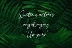 Quetzalli Font