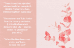 Quilla multipurpose elegant font