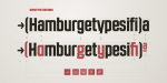 RBNo2.1 Font Family