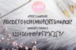 Rabbit Fur Font
