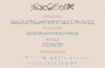 Raccoon Font