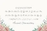 Rachel Bowie Font