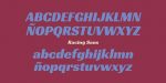 Racing Sans Font