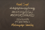 Racket Brush Script