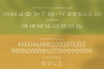 Rafflesia Font