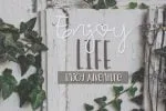Rain Forest Adventure Font