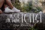 Rain Forest Adventure Font
