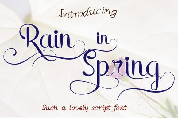 Rain in Spring Font