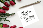 Rain in Spring Font