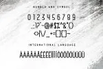 Rainday Typeface Font