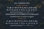 Rainly - Brush & SVG Font
