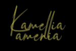 Raittamia Smaart Font