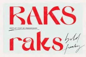 Raks - Modern Display font