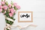Ramolla Font