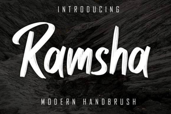 Ramsha Modern Handbrush