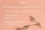 Rangoe Font