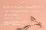 Rangoe Font