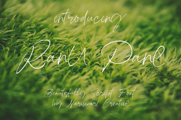 Ranu Pane Font