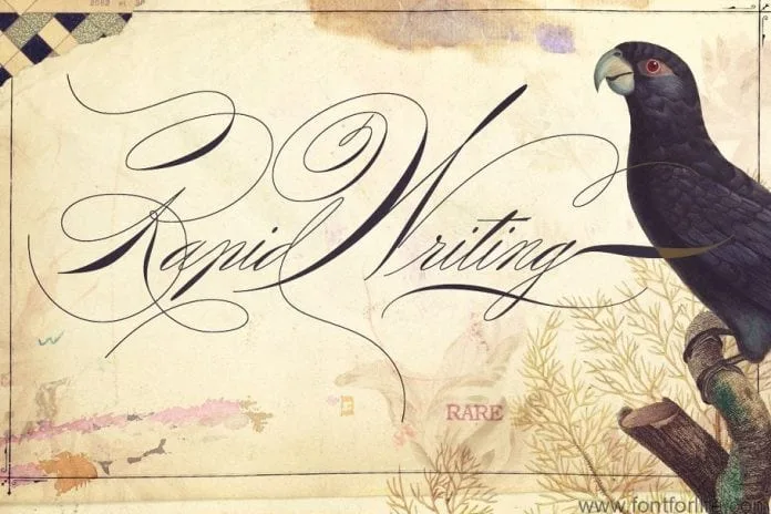 Rapid Writing Font