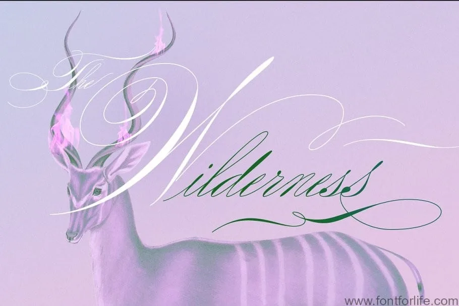 Rapid Writing Font