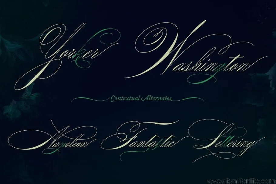Rapid Writing Font