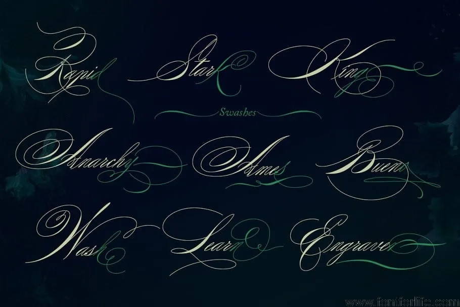 Rapid Writing Font