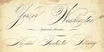 Rapid Writing Script Font