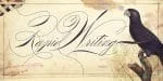 Rapid Writing Script Font