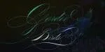 Rapid Writing Script Font