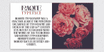 Raque - Modern Serif Font