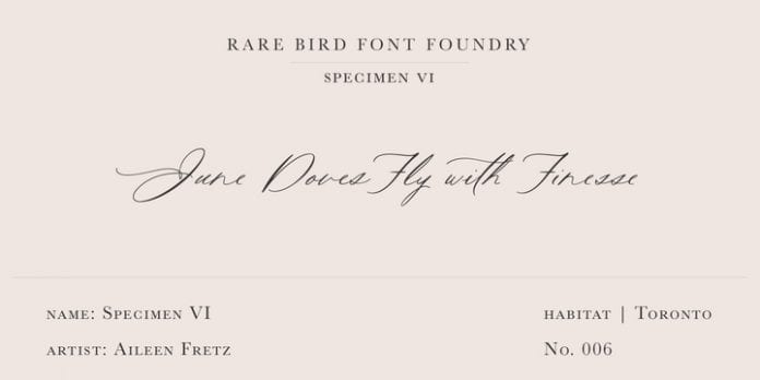 Rare Bird Specimen VI Font