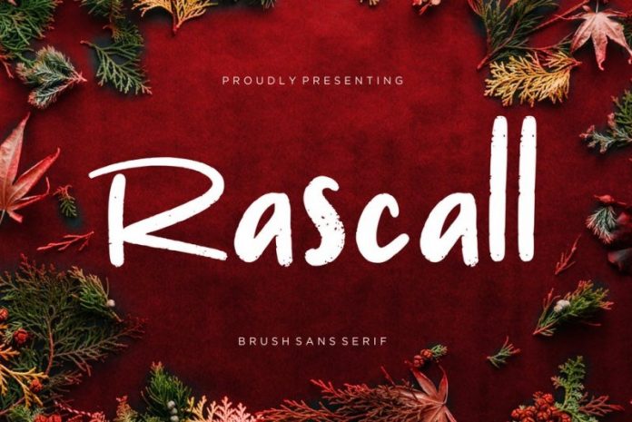 Rascall Brush Sans Font