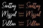 Rassty Brush Script Font
