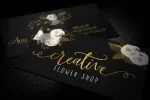 Rastenoba Script Font