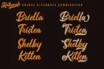 Rationale Vintage Script Font
