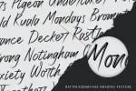 Rattnugidari - Brush Script Font