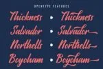 Ratyadu - Vintage & Retro Bold Script Font