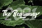 Ravina Feuille Font