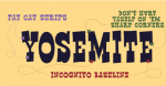 Rawhide Font