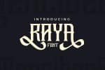Raya Family 6 Styles Font