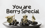 Red Berry Font