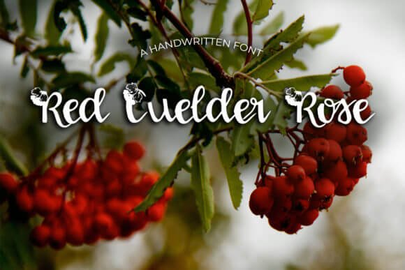 Red Guelder Rose Font