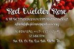 Red Guelder Rose Font
