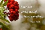 Red Guelder Rose Font