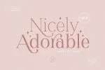 Redrains - Modern Serif Family
